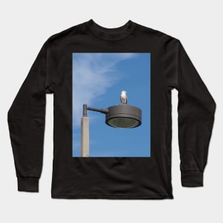 Bird's Eye View Long Sleeve T-Shirt